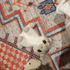 Фото отзыва 10949031