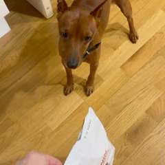 Видео отзыва 10688114