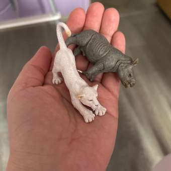 Игровой набор Collecta Тигрёнок: отзыв пользователя Детский Мир