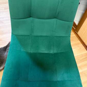 Пылесос моющий для чистки мебели ковров CASTLELADY и салона автомобиля 4 насадки 42000 Па: отзыв пользователя Детский Мир