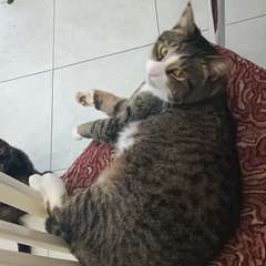 Фото отзыва 11200947