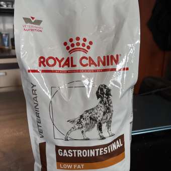 Корм для собак ROYAL CANIN Gastro Intestinal Low Fat LF22 при нарушении пищеварения с ограниченным содержанием жиров 1.5кг: отзыв пользователя. Зоомагазин Зоозавр
