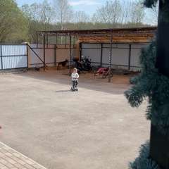 Видео отзыва 11456468