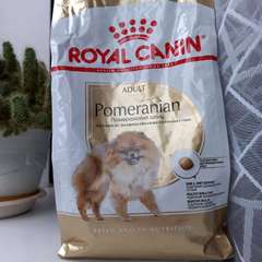 Фото отзыва 10911593