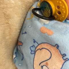 Фото отзыва 11206067