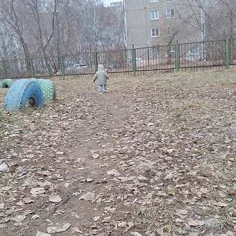 Кроссовки Tombi: отзыв пользователя Детский Мир