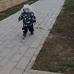 Фото отзыва 10771688