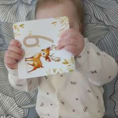 Фото отзыва 10975163