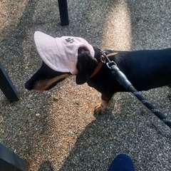 Фото отзыва 10134406