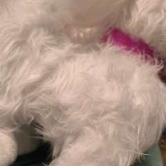 Фото отзыва 10839960