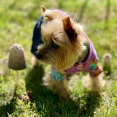 Фото отзыва 10733397