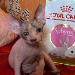 Фото отзыва 10973047