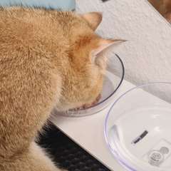 Фото отзыва 10787820