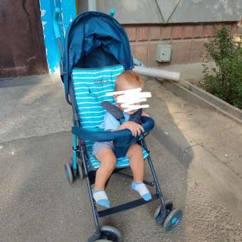 Коляска прогулочная Babyton Zoo Blue синий: отзыв пользователя ДетМир