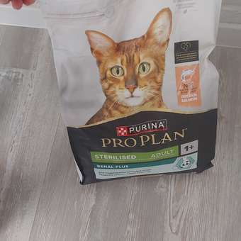 Корм сухой для кошек PRO PLAN RENAL PLUS 3 кг с лососем для стерилизованных: отзыв пользователя. Зоомагазин Зоозавр