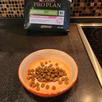 Корм сухой для кошек PRO PLAN DELICATE DIGESTION 1.5 кг с курицей для стерилизованных: отзыв пользователя. Зоомагазин Зоозавр