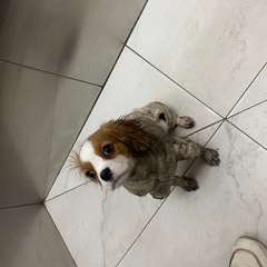 Фото отзыва 10507090