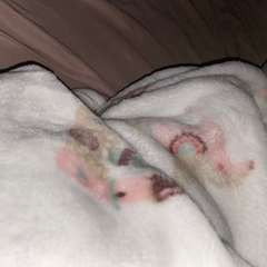 Фото отзыва 11131542