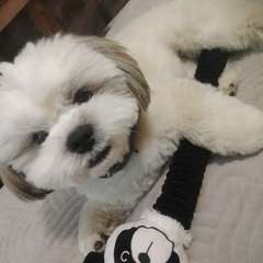 Фото отзыва 10760993