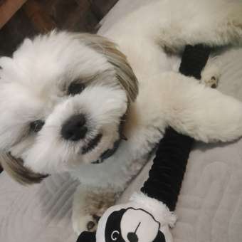 Игрушка для собак Barbaks Панда-длинношей мягкая с пищалкой шуршит 64*10см: отзыв пользователя. Зоомагазин Зоозавр