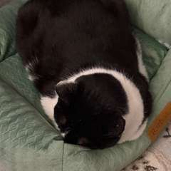 Фото отзыва 10728950