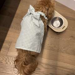 Фото отзыва 11031001