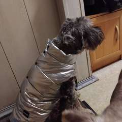 Фото отзыва 10750107