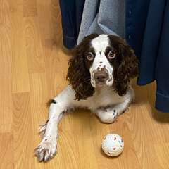 Фото отзыва 10947759