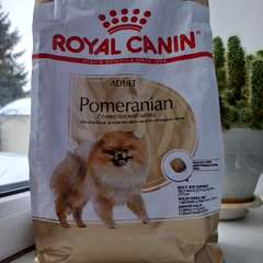 Фото отзыва 10762145