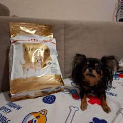 Фото отзыва 10682828