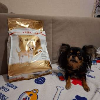 Корм для собак ROYAL CANIN породы чихуахуа 3кг: отзыв пользователя. Зоомагазин Зоозавр