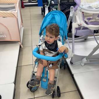 Коляска прогулочная Babyton Light Blue: отзыв пользователя ДетМир