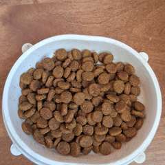 Фото отзыва 10946163