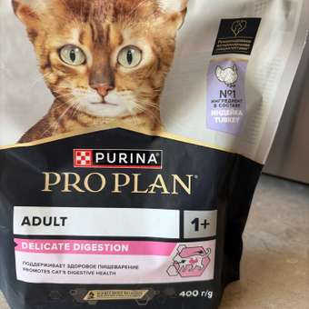 Корм сухой для кошек PRO PLAN DELICATE DIGESTION 400г с индейкой: отзыв пользователя. Зоомагазин Зоозавр