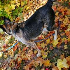 Фото отзыва 10714891