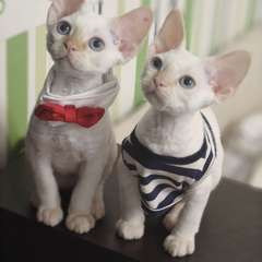 Фото отзыва 11097385