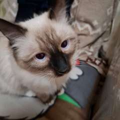 Фото отзыва 10732547