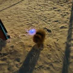 Фото отзыва 10833401