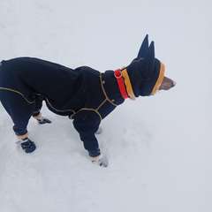 Фото отзыва 11070033