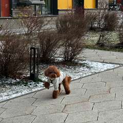 Фото отзыва 10847267