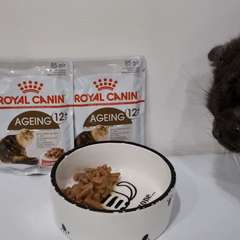 Видео отзыва 10732142