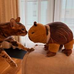 Фото отзыва 11041638