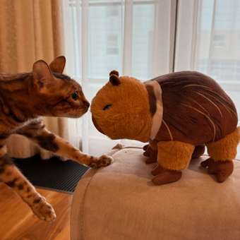 Мягкая игрушка Italian Brainrot Бурбалони Лулилоли: отзыв пользователя Детский Мир