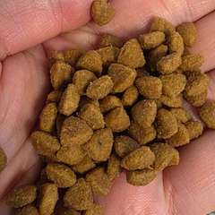 Фото отзыва 10987363