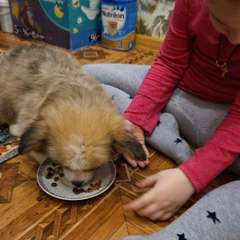 Фото отзыва 10676002