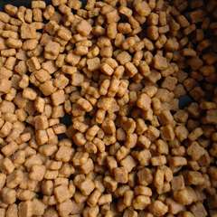 Фото отзыва 10702143