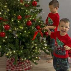 Фото отзыва 10782473