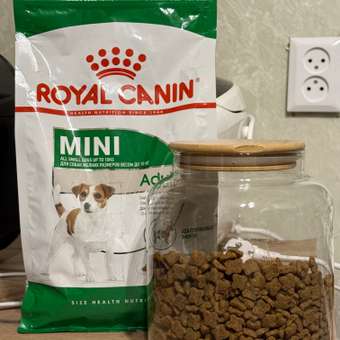 Корм для собак ROYAL CANIN мелких пород 800г: отзыв пользователя. Зоомагазин Зоозавр