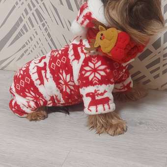 Шарф для собак и кошек Зоозавр: отзыв пользователя. Зоомагазин Зоозавр