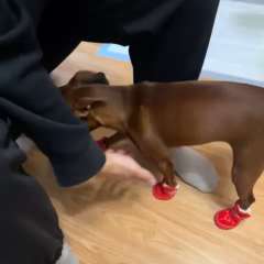 Видео отзыва 10644251